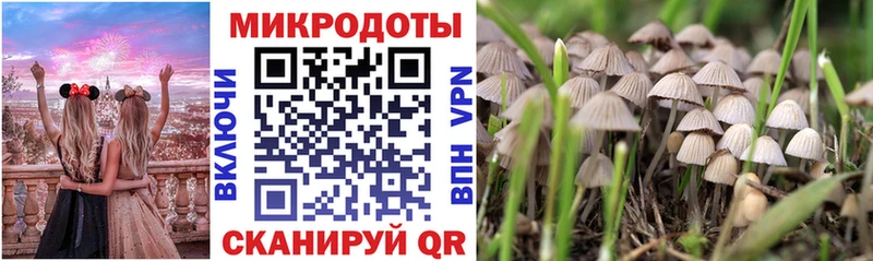 продажа наркотиков Кореновск Галлюциногенные грибы MAGIC MUSHROOMS